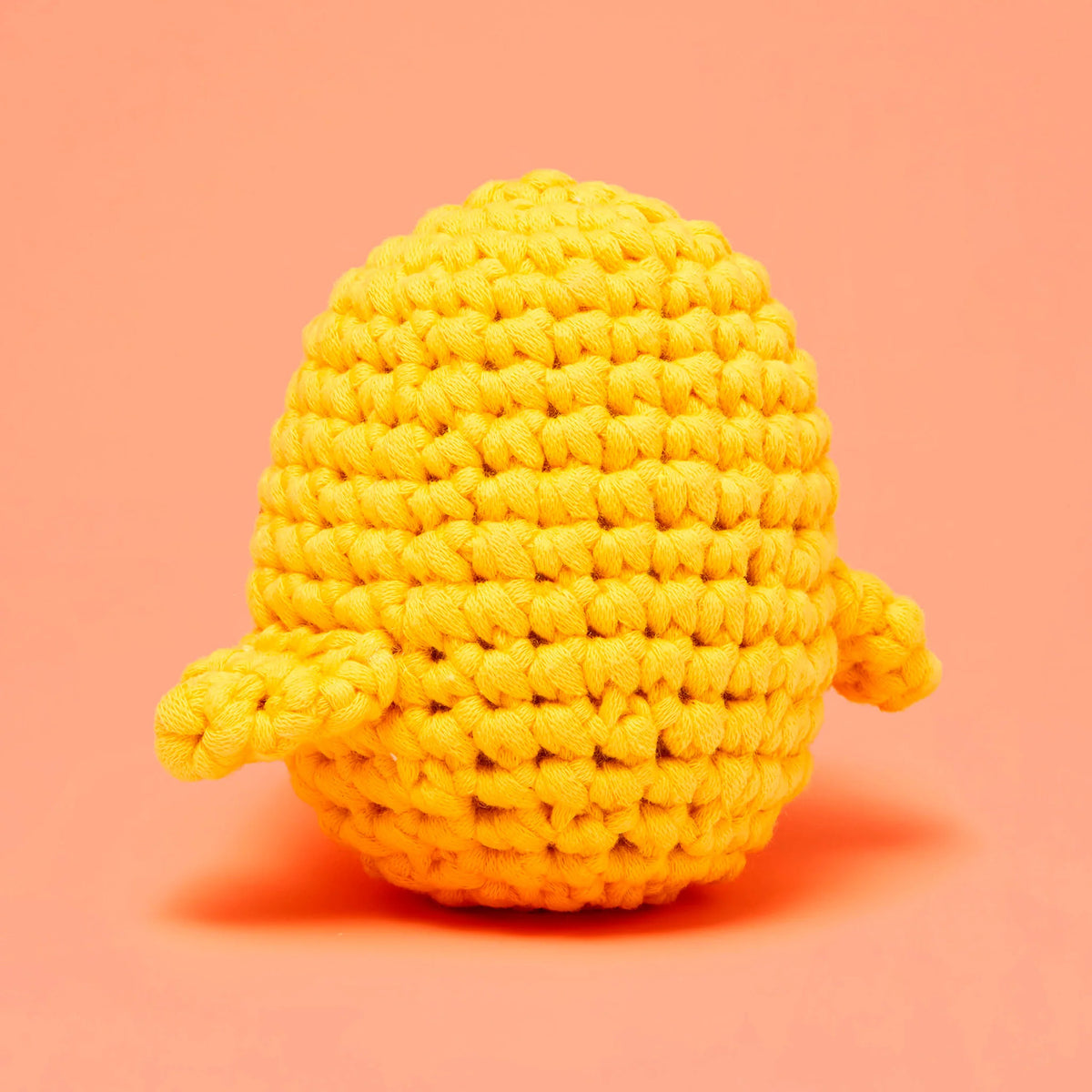 Crochet Kit for Beginners – Easy Arts & Crafts Kit for Making Crochet Animals